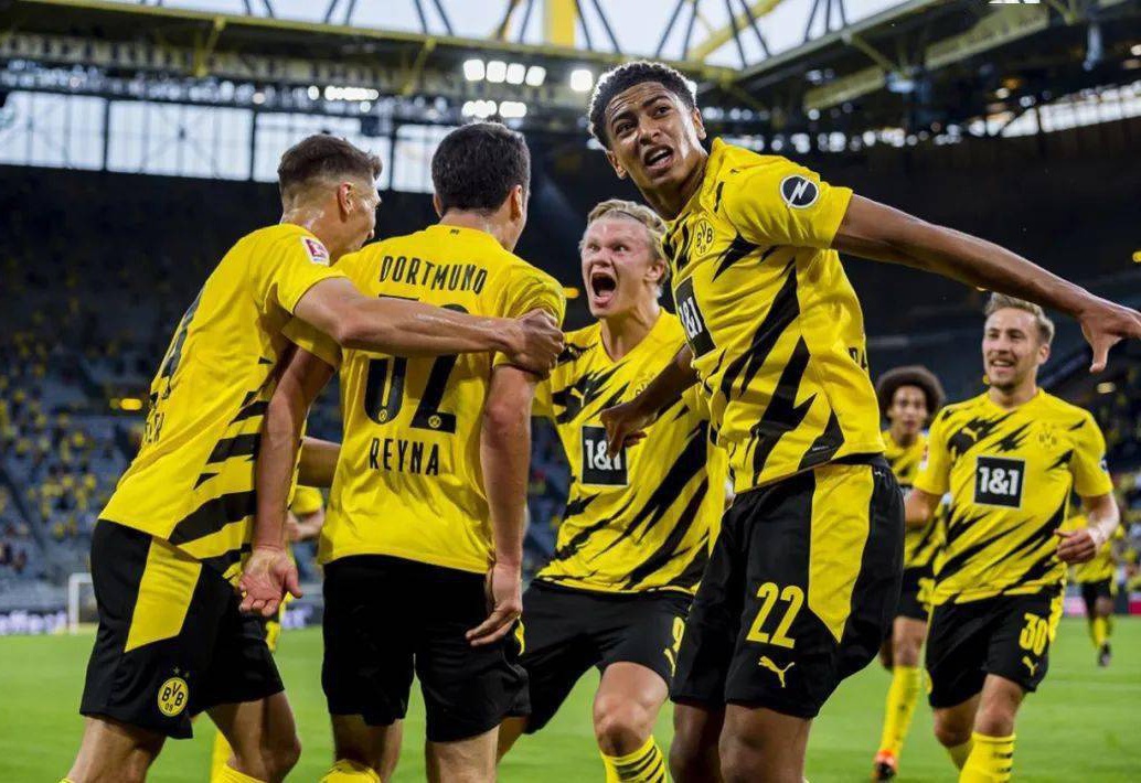 无疑是他们 无疑是他们