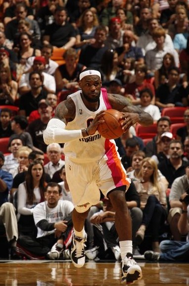 仅燃起了观 仅燃起了观