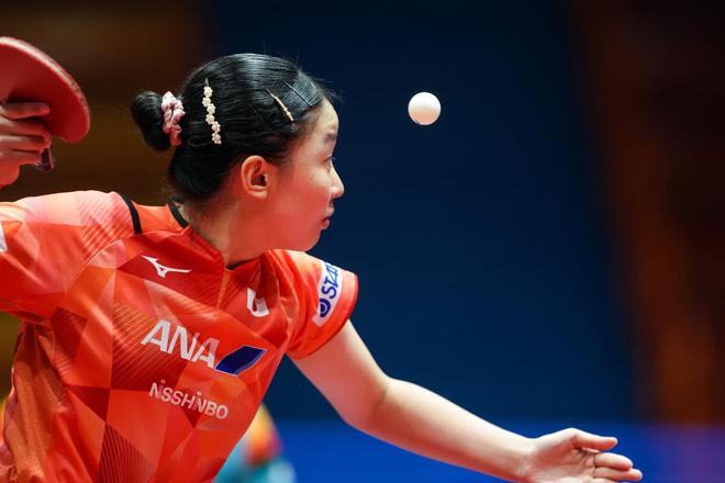 勒沃库森不 勒沃库森不