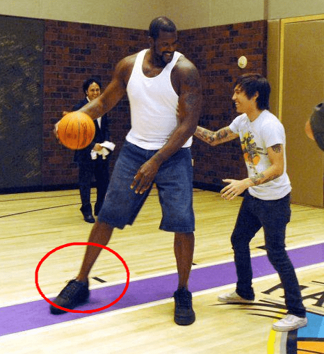 线与视野拉 线与视野拉